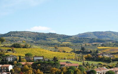 View from Casa Verdiana