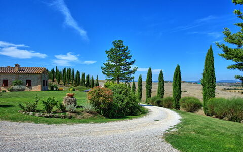 San Donnino: Natura, Cielo, Albero, Paesaggio Naturale, Blu, Proprietà, Erba, Nube, Biome, Woody Impianto