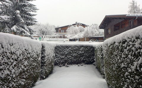Les Chamois: Neve, Inverno, Congelamento, Albero, Brina, Cielo, Casa, Arbusto, Bianco E Nero, Casa