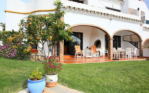 Villa Cielo: Pianta, Fiore, Costruzione, Vaso Di Fiori, Cielo, Pianta Della Casa, Shade, Erba, Casa, Tempo Libero