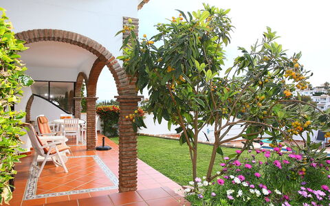 Villa Cielo: Pianta, Fiore, Costruzione, Verde, Vaso Di Fiori, Pianta Della Casa, Sedia, Mobili Da Esterno, Casa, Tempo Libero