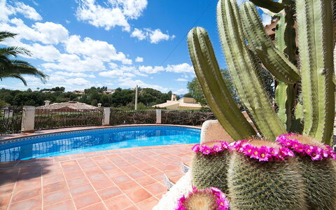 Luz Y Paz: Cactus, Proprietà, Blu Majorelle, Piscina, Cielo, Fiore, Botanica, Pianta, Immobiliare, Ricorrere