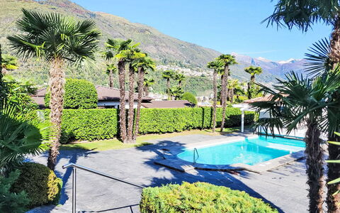 Collina Verde B: Albero, Ricorrere, Piscina, Eco Hotel, Shade, Tempo Libero, Hacienda, Landscaping, Giardino