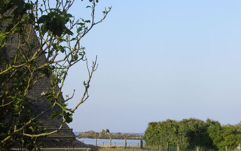 Sables Blancs: Albero, Vegetazione, Cielo, Ramo, Acqua, Waterway, Woody Impianto, Foglia, Pianta, Fiume