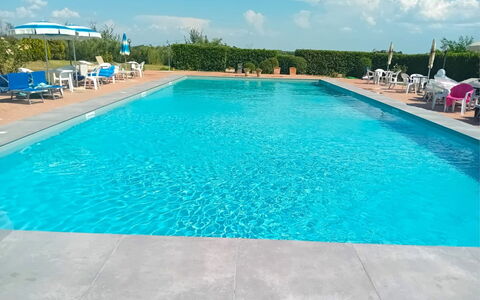 Fattoria le Chianacce: Acqua, Proprietà, Nube, Piscina, Cielo, Blu, Azzurro, Pianta, Rettangolo, Albero