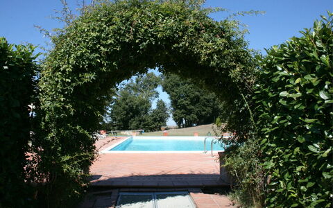 Fattoria le Chianacce: Arco, Proprietà, Architettura, Albero, Cielo, Botanica, Arbusto, Giardino, Pianta, Immobiliare