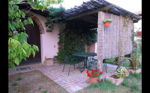 Fattoria la Gabola: Proprietà, Backyard, Cortile, Casa, Capannone, Costruzione, Villetta, Edifici Giardino, Giardino, Landscaping