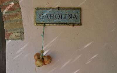 Alloggio:&nbsp;La Gabolina