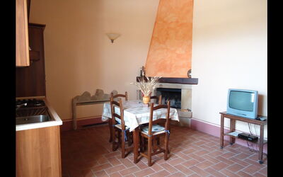 Alloggio:&nbsp;Gatto