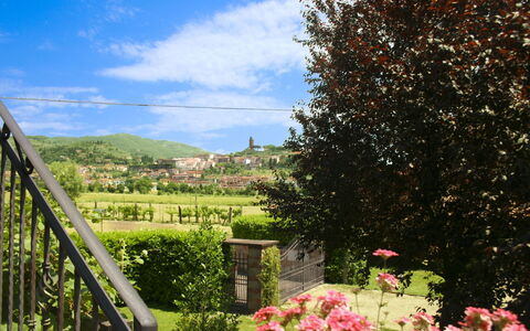 Pozzonovo: Collina, Paesaggio, Arbusto, Lotto, Giardino, Primavera, Hill Station, Prato, Landscaping, Cortile