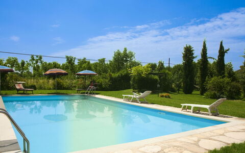 Pozzonovo: Piscina, Blu, Mobili Da Esterno, Ricorrere, Tempo Libero, Shade, Eco Hotel, Lettino, Terme, Landscaping