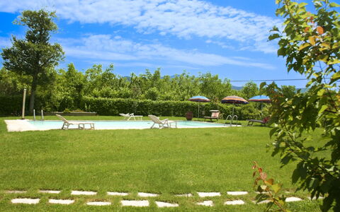 Pozzonovo: Lotto, Prato, Giardino, Prato, Piscina, Shade, Mobili Da Esterno, Parco, Landscaping, Cortile