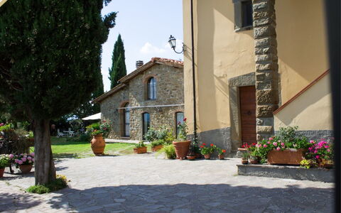 La Greppia: Pianta, Costruzione, Cielo, Vaso Di Fiori, Manto Stradale, Architettura, Albero, Quartiere, Casa, Pianta Della Casa