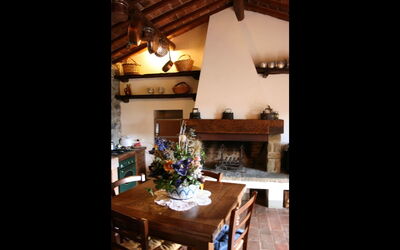 Fattoria Il Barattino