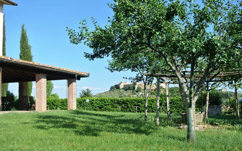 Nonno Tobia: Cielo, Pianta, Verde, Paesaggio Naturale, Albero, Lotto, Erba, Vegetazione, Shade, Pascolo