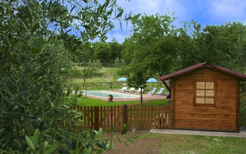 Country House Il Galleto: Casa, Arbusto, Area Rurale, Villetta, Estate, Villaggio, Agriturismo, Giardino, Landscaping