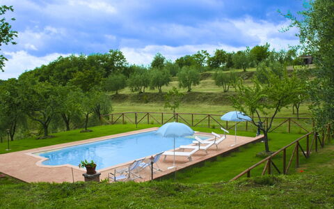 Country House Il Galleto: Casa, Arbusto, Area Rurale, Villetta, Estate, Villaggio, Agriturismo, Giardino, Landscaping