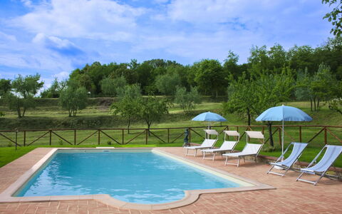 Country House Il Galleto: Casa, Arbusto, Area Rurale, Villetta, Estate, Villaggio, Agriturismo, Giardino, Landscaping
