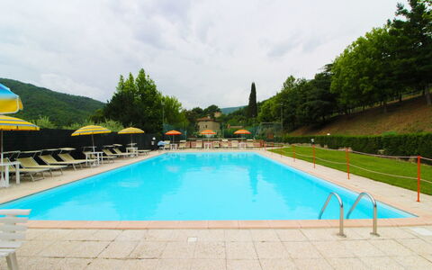 Casale Aiola: Acqua, Cielo, Pianta, Nube, Piscina, Verde, Albero, Azzurro, Erba, Tempo Libero
