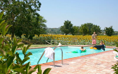 Casa vacanza Il Viaggiolo - Foiano della Chiana, Toscana, Italia