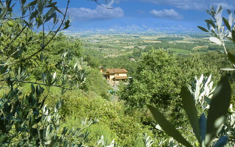 La Rogaia: Ombrello, Mobilia, Mobili Da Esterno, Shade, Sedia, Tavolo Esterno, Vaso Di Fiori, Piscina, Design, Pianta Della Casa