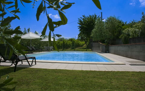 Podere San Bono: Piscina, Mobili Da Esterno, Ricorrere, Shade, Giardino, Eco Hotel, Landscaping, Backyard, Lettino, Estate