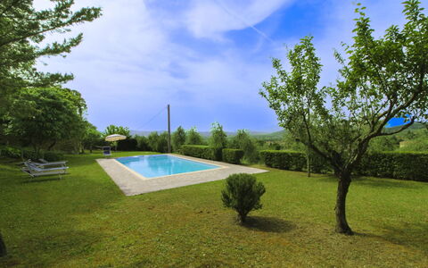 Olivo: Erba, Casa, Casa, Area Rurale, Villetta, Agriturismo, Estate, Prato, Prato, Landscaping