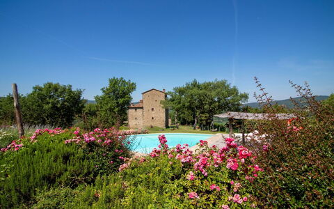 Torre di Vignale: Albero, Paesaggio, Lotto, Area Rurale, Parco