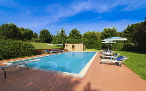 Casale Lorenzo: Albero, Plain, Lotto, Prato, Giardino, Estate, Prato, Landscaping, Cortile, Agriturismo