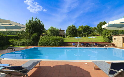 Casale Lorenzo: Albero, Plain, Lotto, Prato, Giardino, Estate, Prato, Landscaping, Cortile, Agriturismo