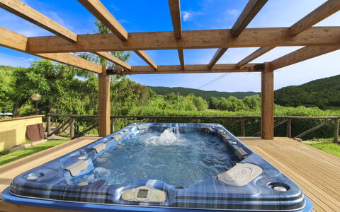 Casale Lorenzo: Albero, Plain, Lotto, Prato, Giardino, Estate, Prato, Landscaping, Cortile, Agriturismo