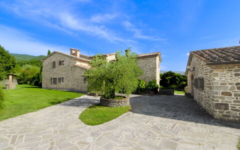 Casale Lorenzo: Albero, Plain, Lotto, Prato, Giardino, Estate, Prato, Landscaping, Cortile, Agriturismo