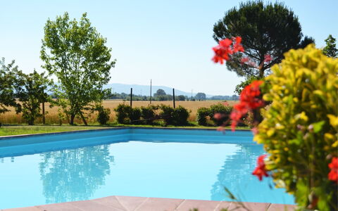 Villa Cantagallo: Acqua, Pianta, Cielo, Piscina, Fiore, Azzurro, Natura, Albero, Erba, Paesaggio Naturale