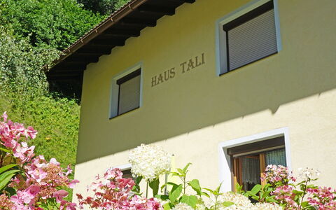 Arlberg: Fiore, Pianta, Costruzione, Finestra, Proprietà, Botanica, Foglia, Vegetazione, Giallo