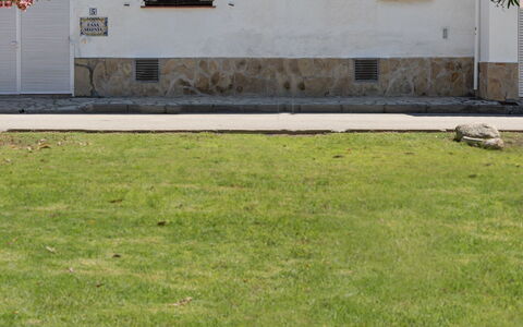 Sagenta: Prato, Erba, Cortile, Lotto, Proprietà, Backyard, Graminacee, Parete, Giardino, Pianta