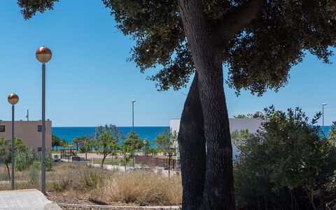 Sagenta: Albero, Cielo, Woody Impianto, Pianta, Architettura, Palma, Street Luce, Vacanza, Arecales, Tronco