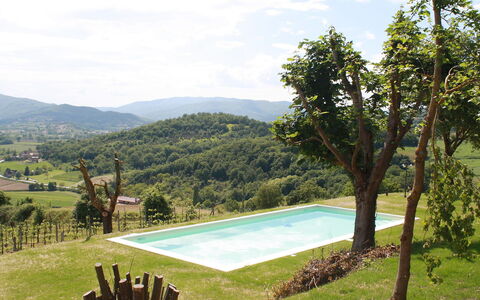 Montebello: Proprietà, Piscina, Casa, Erba, Natura Selvaggia, Albero, Montagna, Vacanza, Immobiliare, Estate
