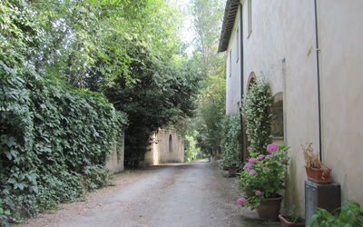 Alloggio:&nbsp;Borgo