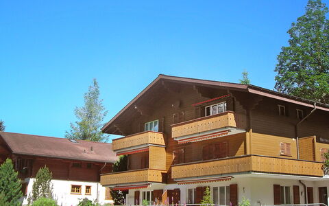 Grindelwald 253: Pianta, Cielo, Costruzione, Finestra, Albero, Casa, Lotto, Legna, Villetta, Raccordo