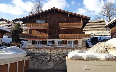 Grindelwald 253: Nube, Cielo, Costruzione, Neve, Finestra, Legna, Albero, Casa, Congelamento, Quartiere