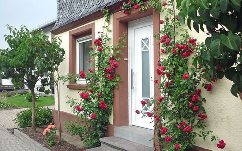 Haus Irmgard: Fiore, Pianta, Costruzione, Finestra, Casa, Porta, Petalo, Villetta, Raccordo