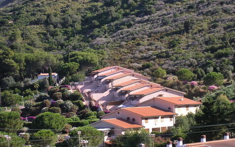 Nisporto 870: Paesino Di Montagna, Zona Residenziale, Villaggio, Cittadina, Hill Station, Insediamento Umano, Collina, Sobborgo, Albero, Casa