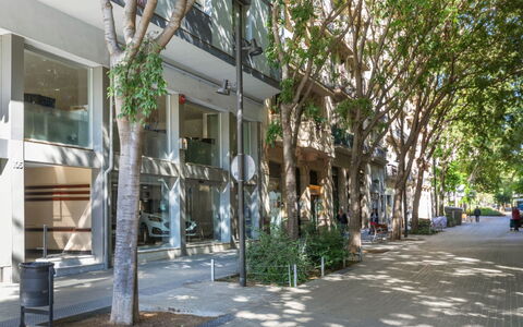 Eixample Esq Rocafort Diputacio: Pianta, Costruzione, Albero, Shade, Manto Stradale, Urban Design, Quartiere, Finestra, Marciapiede, Zona Residenziale