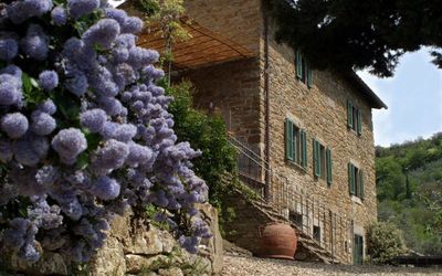 Villa nello