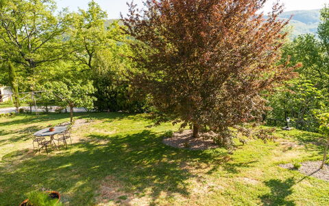 Casa la Primula: Pianta, Comunita 'Impianto, Verde, Ramo, Paesaggio Naturale, Lotto, Vegetazione, Albero, Erba, Shade
