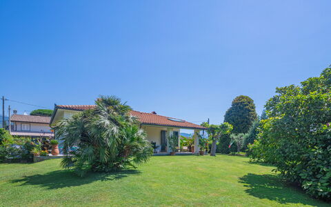 Marinella: Pianta, Cielo, Proprietà, Finestra, Costruzione, Paesaggio Naturale, Albero, Lotto, Vegetazione, Casa