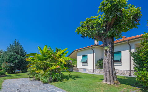 Marinella: Cielo, Pianta, Costruzione, Proprietà, Albero, Paesaggio Naturale, Vegetazione, Lotto, Shade, Arecales