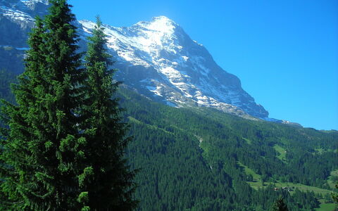 Chalet Almis 5: Geografia Montane, Montagna, Balsamo Fir, Boschi Di Conifere Tropicali E Subtropicali, Natura, Albero, Abete Rosso-Fir Forest, Natura Selvaggia, Hill Station, Catena Montuosa