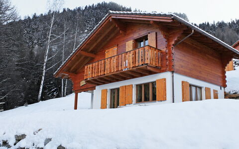 Elorian: Neve, Inverno, Casa, Casa, Proprietà, Log Cabin, Villetta, Tetto, Costruzione, Immobiliare