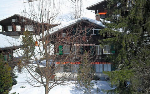 Chalet Spassvogel: Pianta, Neve, Costruzione, Finestra, Cielo, Ramo, Pendenza, Albero, Ramoscello, Casa